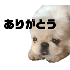 natsumi_20210702020905