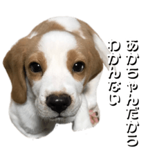 CHARO_20210702125705