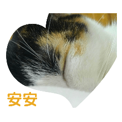 阿麥同學日常打招呼