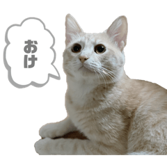aoi_20210702103859