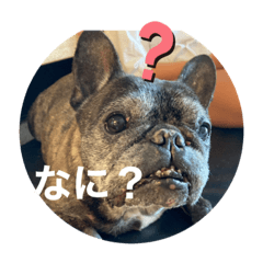 aozora_20210702112013