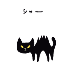 Grumpy black cat life