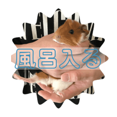 menchan_20210702130552
