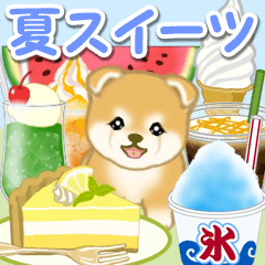 Baby Mameshiba with summer sweets