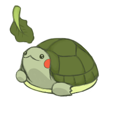 Red-eared Slider Diary