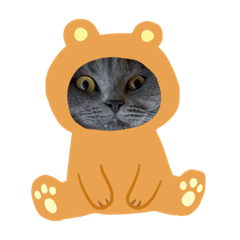 saoko_20210702181042