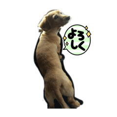 NOZOMI_20210702094952