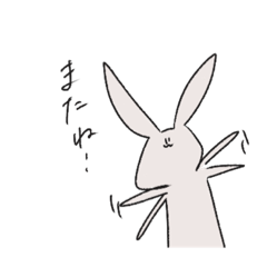 The name of the rabbit is Parukichi