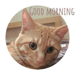 AKIKO_20210702205019