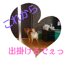 柴犬まりちゃん Line スタンプ Line Store