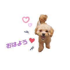 yuka_20210703105542
