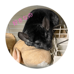 NATSUMI_20210703105744