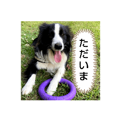 miko_20210703112021
