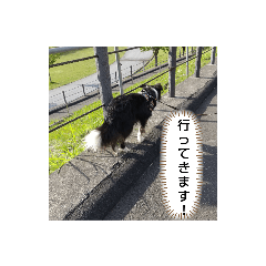 miko_20210703111712