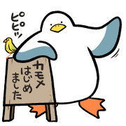 Seagulls and pips 1