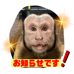 yukari_20210703034320