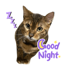 chibi_20210702225927