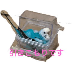 rina_20210703123909