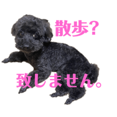 yuka_20210703140238