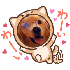 TANGIROU2021
