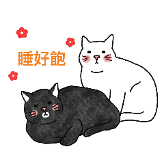 Simplecat_official