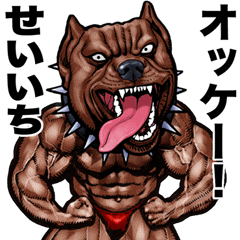 Seiichi dedicated Muscle macho animal