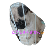 meny friend