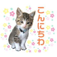 asuka_20210703143914