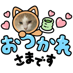 Risa_20210703155938