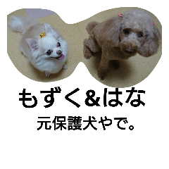 The original protection dog,Mozuku&Hana