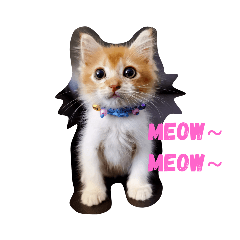 Somsom_20210703074138