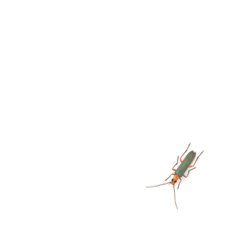 d_20210703183950