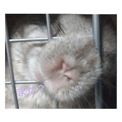 mocomoco_20210703094124