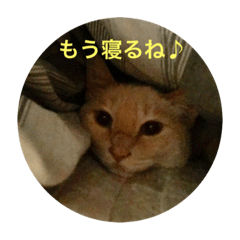 mimi_20210703135650