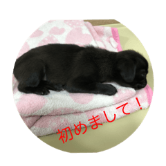 kaito_20210703202254