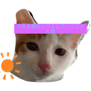 Ririi_20210703225549