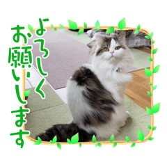 yuka_20210703231935