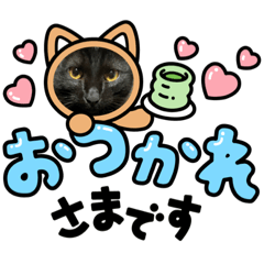 Miki_20210703163054