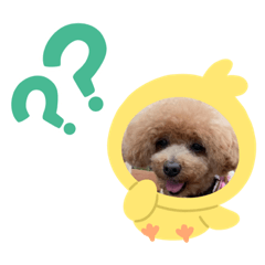 Hana_20210703162146