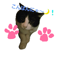 癒し系 いろんなかわいい動物たち Line スタンプ Line Store 癒し系 いろんなかわいい動物たち Line スタンプ Line Store