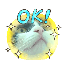 阿麥同學日常第二彈