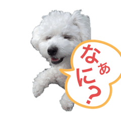 yuto_20210703205225