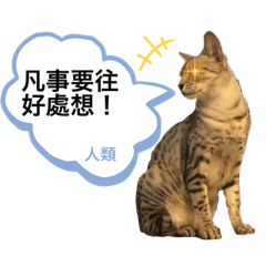 無噪音貼圖2