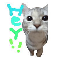 まるとひめの日常スタンプ