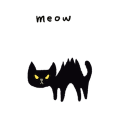 Grumpy black cat