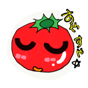 The tomato family