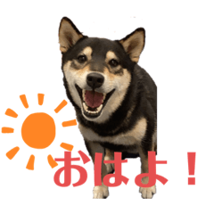 msk_20210703204652
