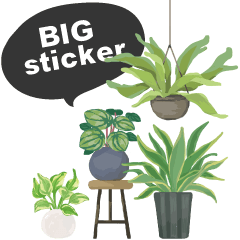 House plant near me message big sticker