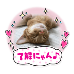 Nozomi_20210704140330