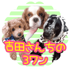 Yoshida Three Dogs
